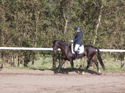 IMG_7801_web